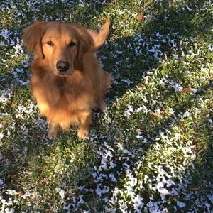 Meet your Posher, Ella